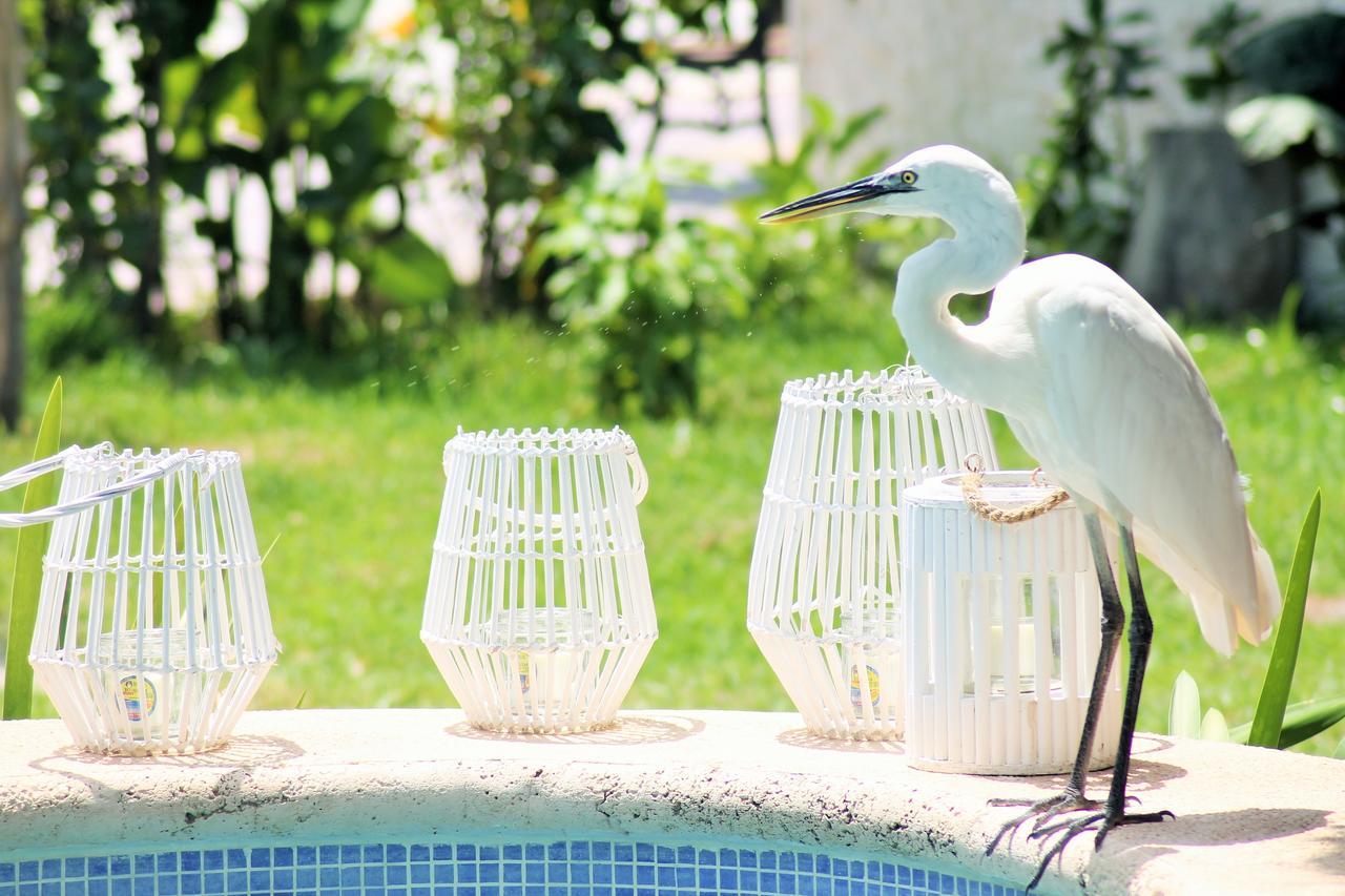 Maya Hotel Residence Isla Holbox Exteriér fotografie